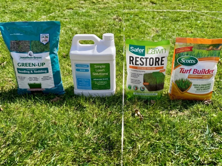 Best Lawn Fertilizer for Summer